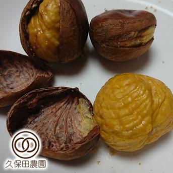 茨城のうまい栗（ぽろたん） 2Lサイズ（約1kg／約38個） 約1kg（2Lサイズ／約38個） 果物/栗通販