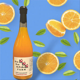 飲料・酒 自然栽培 グレープフルーツジュース(720ml)X3本☆無肥料