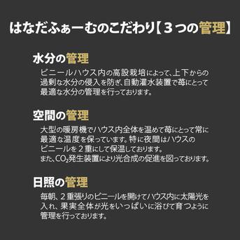 【減農薬】二箱 8パック 家庭用 いろいろなサイズ 『モカベリー』 完熟いちご 苺 果物 【クール便】二箱 ８パック入り 約1800g 【1パック 苺のみ約225g】 果物/いちご通販