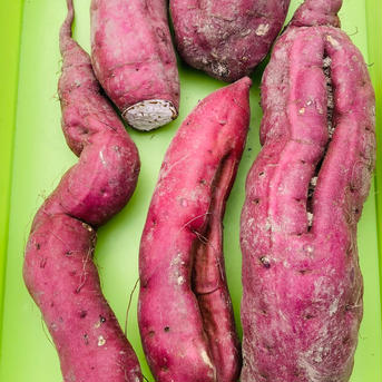 訳あり　紅あずま5kg 5kg 野菜/さつまいも通販