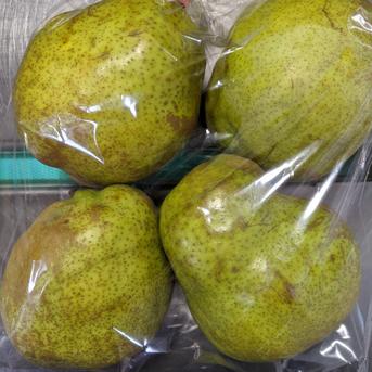 4色フルーツセット 約4.7kg 果物/果物セット・詰め合わせ通販