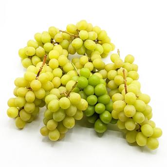 訳ありシャインマスカット10kg 特別栽培農産物同等基準（長野県認証