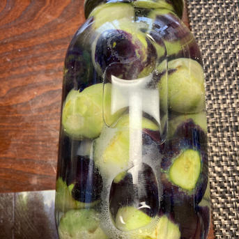お盆にはこれ！伝統野菜　薄皮丸茄子　漬物用　1.0kg 薄皮茄子　3パック　500g✖️3 野菜/茄子通販