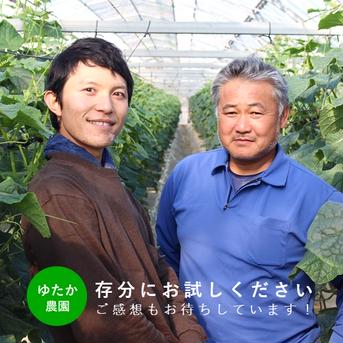 【まとめ買い】苦味のない甘いきゅうり4.5kg 約4.5kg（40本前後） 野菜/きゅうり通販