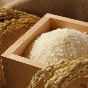 新米令和7年北海道産 農家直送ゆめぴりか | 米・穀物/米/精米