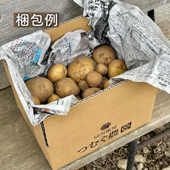 Mサイズ｜信州産｜土付きキタアカリ ｜ 野菜/じゃがいも 産直アウル