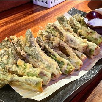 今が旬】産直直送 原木収穫 タラの芽 300g 宮城県産 貴重な頂芽