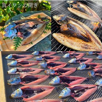 綱元漁師★天日干し干物ギフト箱セット カマス1Pイワシ開き1P目光1P鯵2Pノドグロ2P味醂干し2P 魚介類/魚介の加工品通販