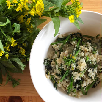 (1kg)そのままサラダで！[信州産] 甘い蜜香る野沢菜の花 1kg 野菜/葉物通販