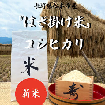 令和8年長野県松本市産『はざ掛け米』コシヒカリ ｜ 米・穀物/米/精米