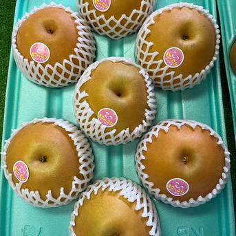 曽篠梨園のにっこり梨‼︎7玉（大玉） 5kg 果物/梨通販