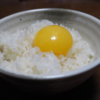 【パック入り｜送料無料！60個】完全自家配合！とれたて平飼い有精卵 全て国産・抗生物質・添加物不使用。大自然の恵みをそのまま提供 60個 卵/鶏卵通販