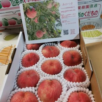 数量限定！ガブっと丸かじり‼  あかつき　2kg【自家用おすすめ‼小玉品】8月上旬収穫予定  桃　あかつき小玉2㎏ 果物/もも通販
