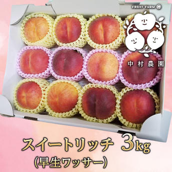 桃 スイートリッチ（プレミアムワッサー） 3kg ｜ 果物/もも 産直