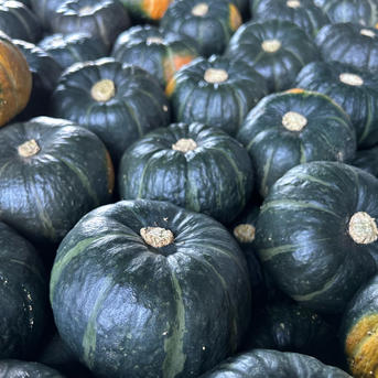 かおるc新鮮な日本産かぼちゃ 中サイズ かおるc新鮮な日本産かぼちゃ 中サイズ