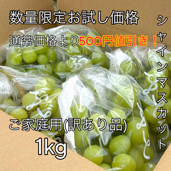 数量限定お試し価格】シャインマスカットご家庭用(訳あり品) 3200円