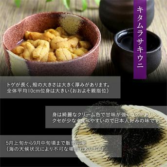 塩水生うに(キタムラサキウニ)100g×5個入 礼文島産 【送料無料】 100g×５個 魚介類/ウニ通販