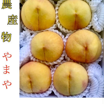 やまやの限定桃！秀品のちょっぴり赤い黄金桃 秀品大玉5〜6玉入り 果物/もも通販