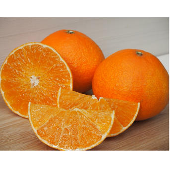 マドンナ10キロと5キロ2箇所送付　近畿地方 マドンナ10キロと5キロ2箇所送付 近畿地方 まどんな3.5キロ(ギフト