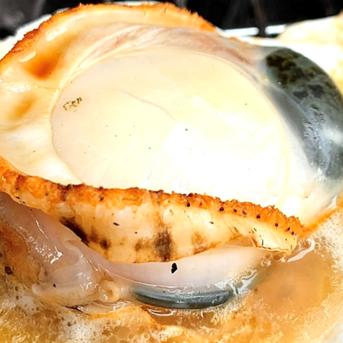 《数量限定20件!!》山六水産の２年貝【5kg】ヘラ付 5ｋ 魚介類/ホタテ通販