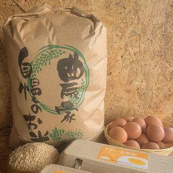 【新米】玄米5kg／減農薬有機栽培コシヒカリ 5kg（米袋と箱の重さ含む） 米・穀物/玄米通販