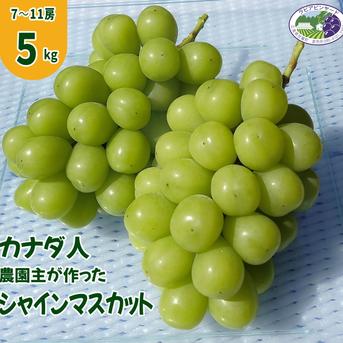 【カナダ人農園主の真心を込めた】シャインマスカット約5ｋｇ シャインマスカット約5ｋｇ 果物/ぶどう通販