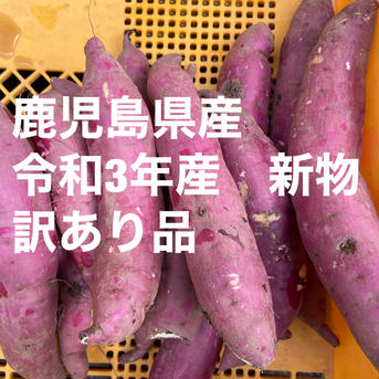 [訳あり]　鹿児島産　紅はるか　生産直売！　　　　　　(80サイズ 総量5kg ) 5kg（総重量） 野菜/さつまいも通販