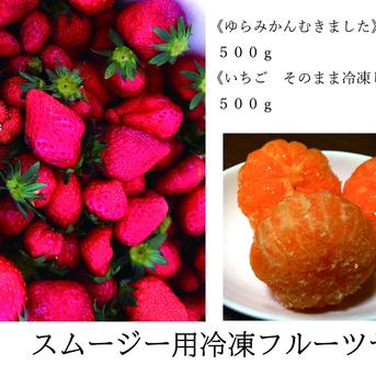 スムージー用 みかん500g いちご500g 冷凍フルーツセット 各500g 果物/果物セット・詰め合わせ通販