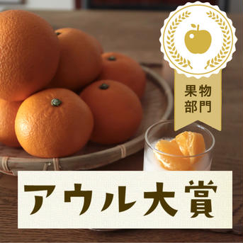 木成り八朔”さつき”【４月発送】 【紅黄混合】正味9kg 果物/オレンジ・その他みかん通販