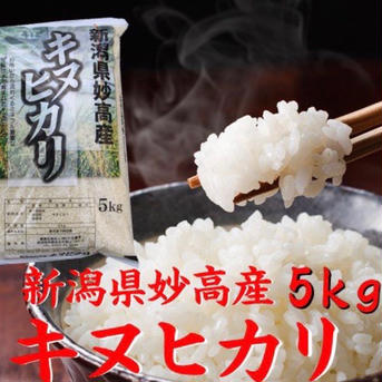 キヌヒカリ  白米  10キロ  令和3年産  (送料込み) 5kg×2 米・穀物/米/精米通販