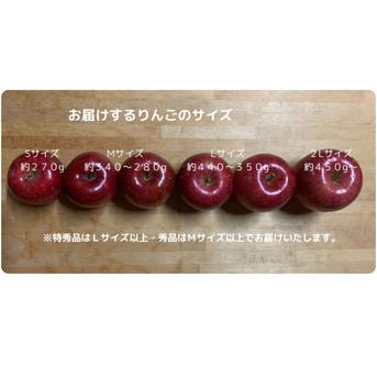 お値打ち品！『完熟サンふじ』【秀品　贈答向け】２４個から４０個入り ⑩完熟サンふじ秀品２４個から４０個入り 果物/りんご通販