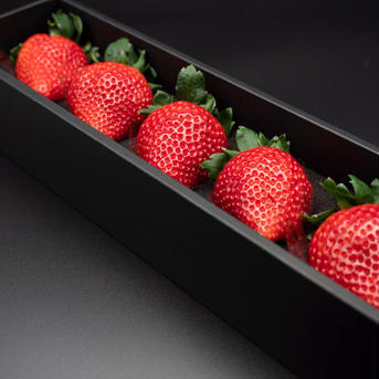 BLACK GIFT BOX 【TOCHIAIKA】 1箱5粒(1果重40g以上の大玉) 果物/いちご通販