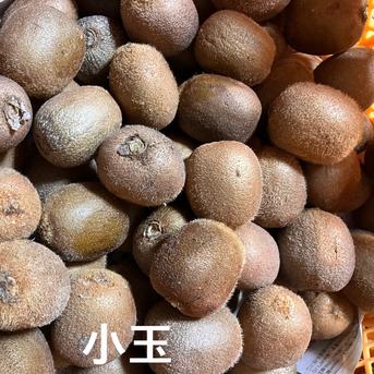 訳あり4.5kg】農家が育てた農薬不使用 自然栽培キウイフルーツ 4.5kg