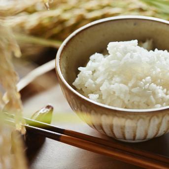 冷めても美味しい！奈良のヒノヒカリ「白米 10kg」2024年産 10kg 米・穀物/米/精米通販
