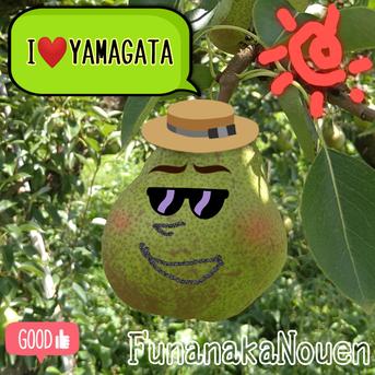 ★ラ・フランス★超大玉 ６L(4玉) ６Lサイズ4玉 果物/梨通販