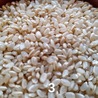 一等米【無農薬】【コシヒカリ3分づき精米20kg】令和6年産・天然の資材、有機質肥料のみ・動物性堆肥不使用・100％農薬不使用　土づくりから1年間🌱農薬・化学肥料・除草剤など使わずに育てた特別栽培米 【無農薬】コシ【3分】20kg 米・穀物/米/精米通販