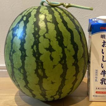 熊本産 スイカ 1玉 約7kg 約7キロ 果物/スイカ通販