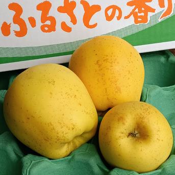 甘系りんご【はるか】外観結構きれい 秋田県横手市産。約3キロLサイズ