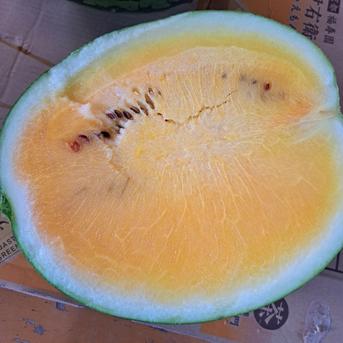 山形県産　金色羅皇　Lサイズ　1玉　6～6.8㎏ スイカLサイズ6～6.8㎏ 果物/スイカ通販