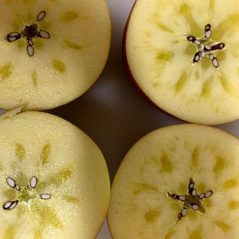 🍎青森りんご🍎～人気ナンバー1家庭用でお買得！『完熟サンふじ』【ご