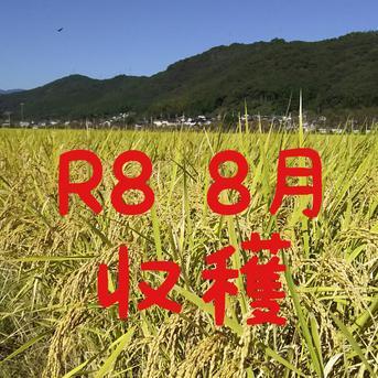 古古米（飼料用）2023年産 玄米 約24kg 令和8年産 新米 高知産 コシヒカリ 飼料用米(くず米)25kg(袋込み