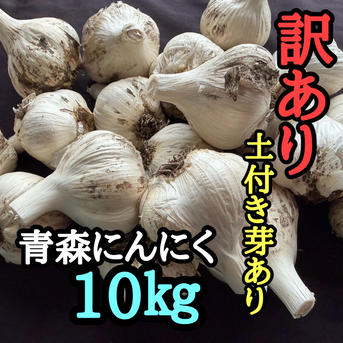 訳あり・土付き芽あり】青森にんにく白玉王（中小玉）10kg | 野菜