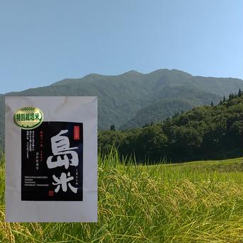 R3新米 特別栽培米 幻のコシヒカリ 最上流で最上級白米5k×2 5k×2 米・穀物/米/精米通販