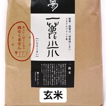 無肥料・無農薬還元塩栽培の森のくまさんと小粒の梅干し 10.3k 米・穀物/玄米通販