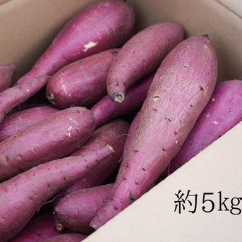送料込み!! 追熟シルクスイート さつまいも 栽培期間中農薬不使用 宮崎県産約2㎏ SS〜Mサイズ 約2㎏ SS〜Mサイズ 野菜/さつまいも通販