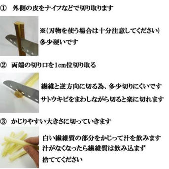 沖縄県産サトウキビ 5kg(50cm前後×30本前後) ｜ 野菜/その他野菜 産直