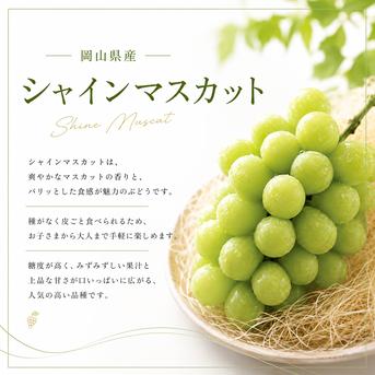 シャインマスカット　ご要望連絡用　自宅用限定 ご自宅用】シャインマスカット 1kg ｜ 果物/ぶどう 産直アウル 農家