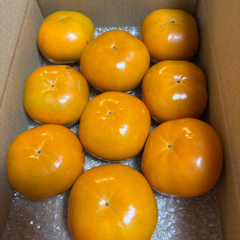 上品な甘さサクサク 新品種『紀州てまり』ご家庭用中玉混合約2kg