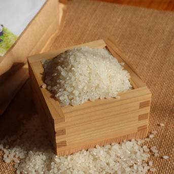 令和7年産 あきほなみ 無洗米 15kg ｜ 米・穀物/米/精米 産直アウル