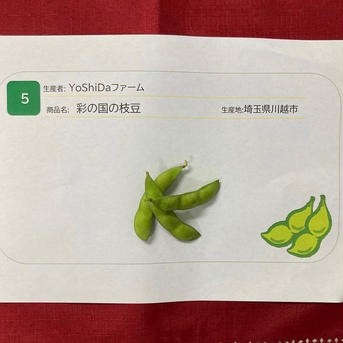 10袋‼️これがあの彩の国のブランド❗️美味過ぎる❗️茶豆風味の枝豆 2.5kg 野菜/豆類通販